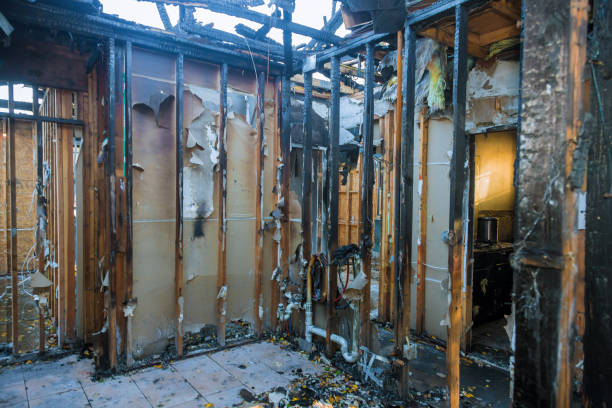Professional Smoke Odor Removal technician working in Willow Grove, TX