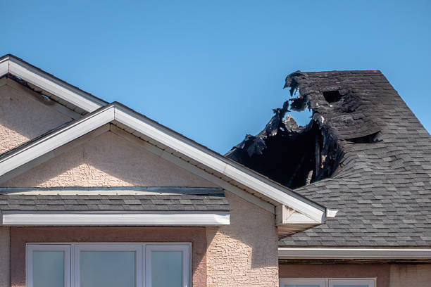 Top rated local Smoke Odor Removal specialists in Willow Grove, TX